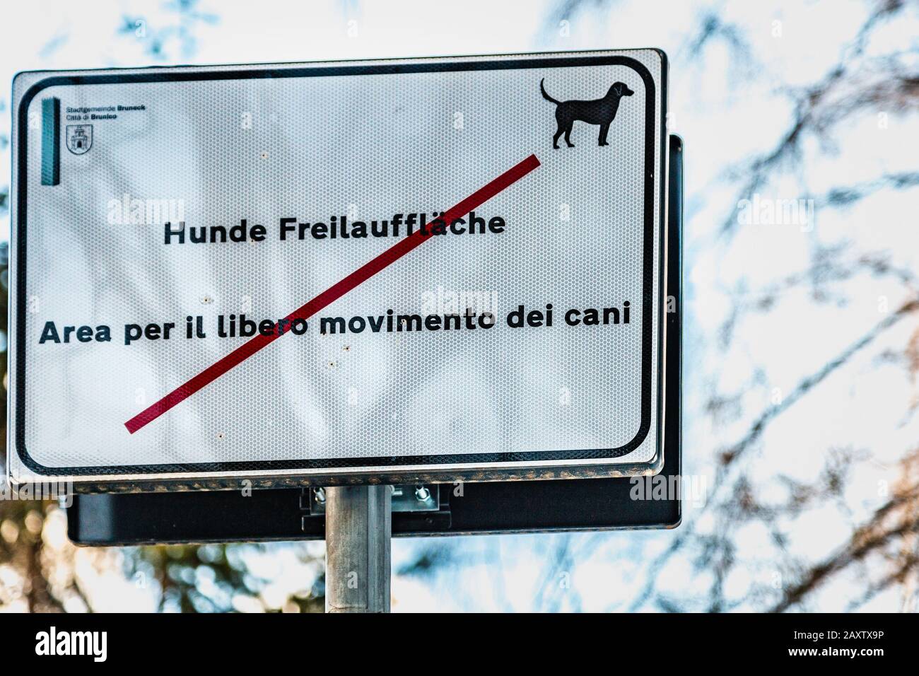 Brunico (BZ), 12 febbraio 2019: La luce del sole illumina l'area dei cani cartello segnalante Foto Stock