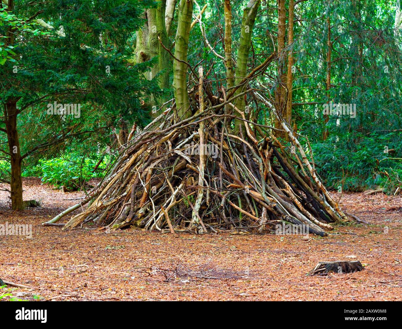 Una struttura di legno ruvida fatta di ramoscelli e ramificazioni serve come una fossa boschiva in una radura forestale Foto Stock