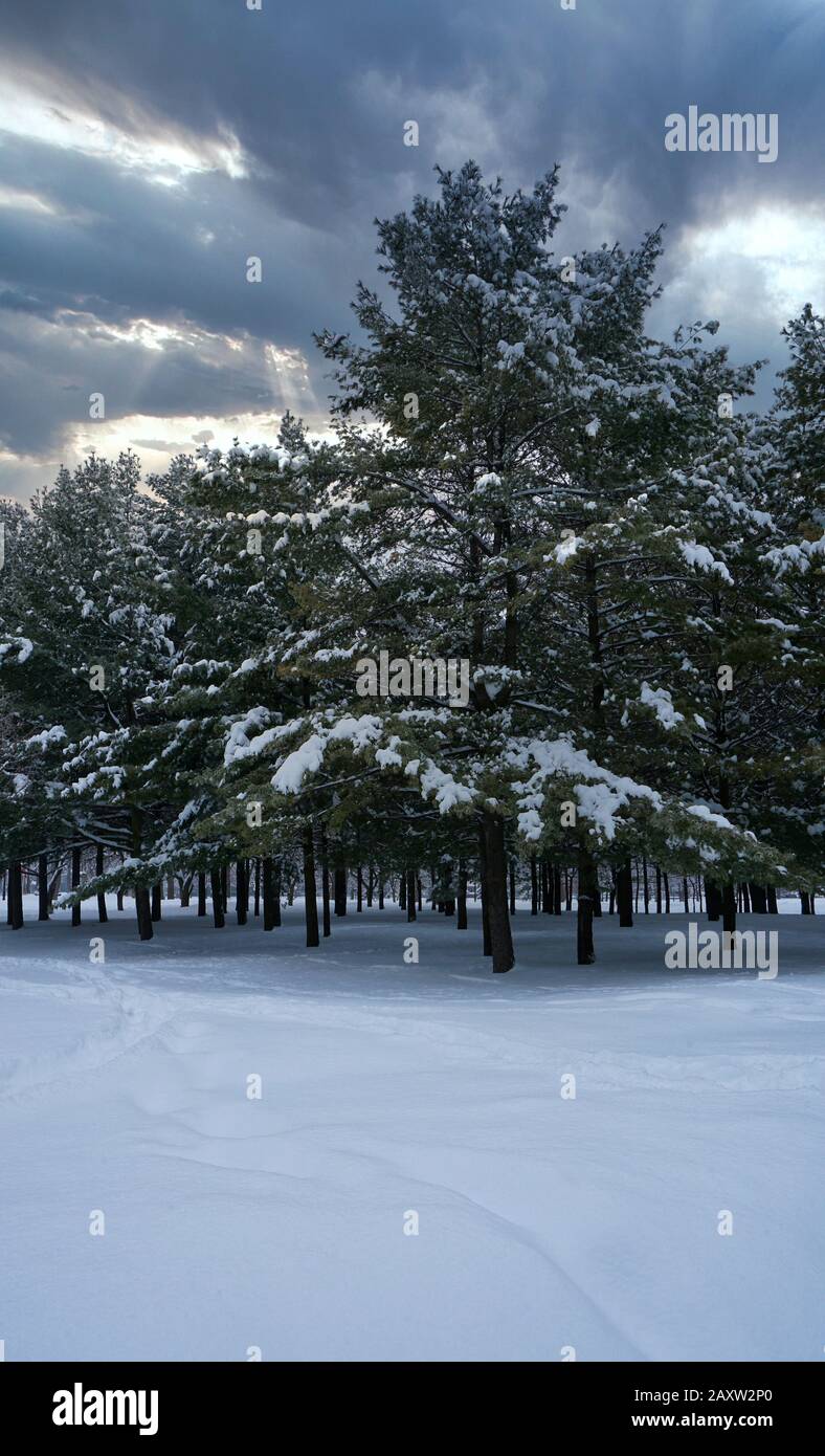 Montreal, Quebec, Canada, 13 Febbraio 2020.Winter Landscape Scenes.Montreal, Quebec, Canada.Credit:Mario Beauregard/Alamy Foto Stock