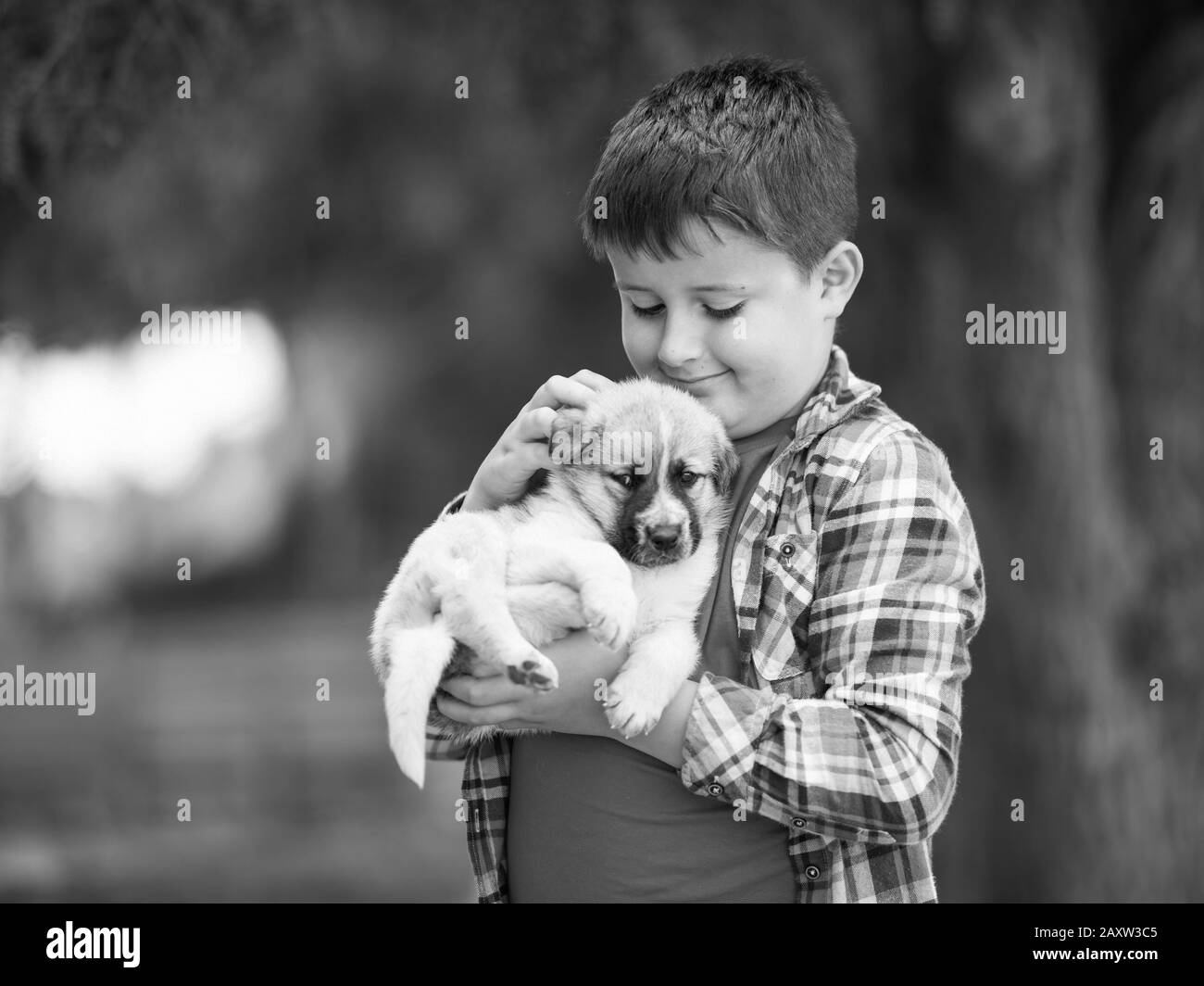 Bambino è abbracciando un piccolo cucciolo. I bambini amano gli animali Foto Stock