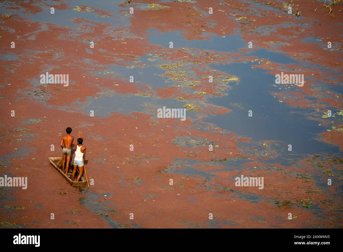 piccola barca e uomini su un lago coperto di alghe rosse Foto Stock