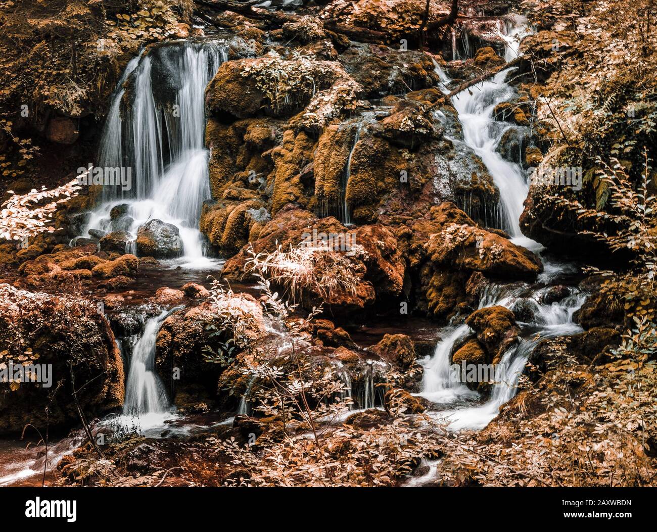 Lunga esposizione di cascata nella foresta Foto Stock