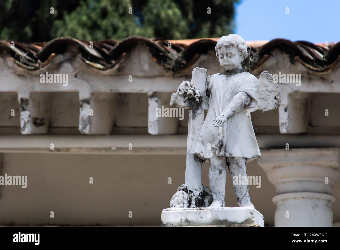 Angel scultura, Angelo cimitero Foto Stock