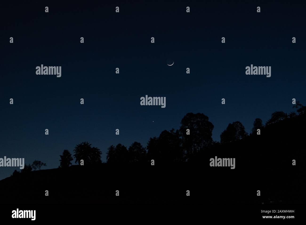 notte paesaggio, luna, skyline notte Foto Stock