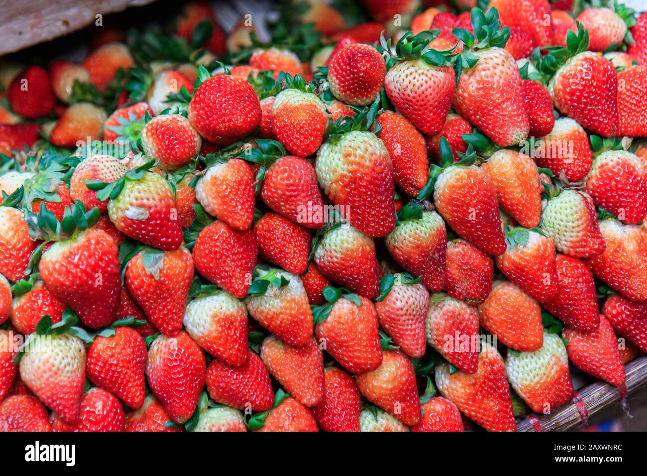 Fragola A Baguio City, Filippine Foto Stock