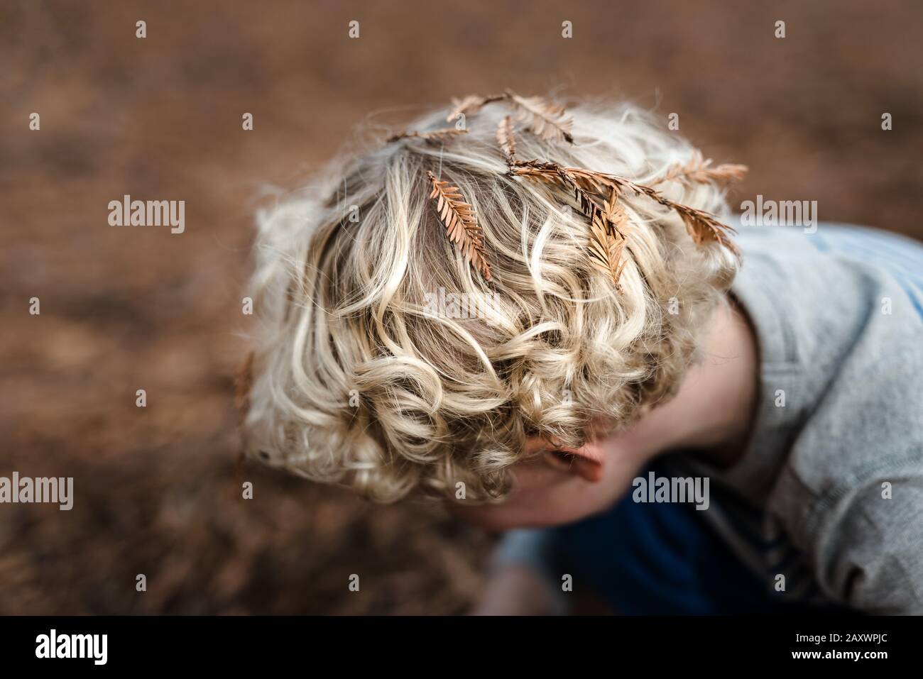 L'ago di pino lascia sulla testa del bambino con capelli ricci Foto Stock