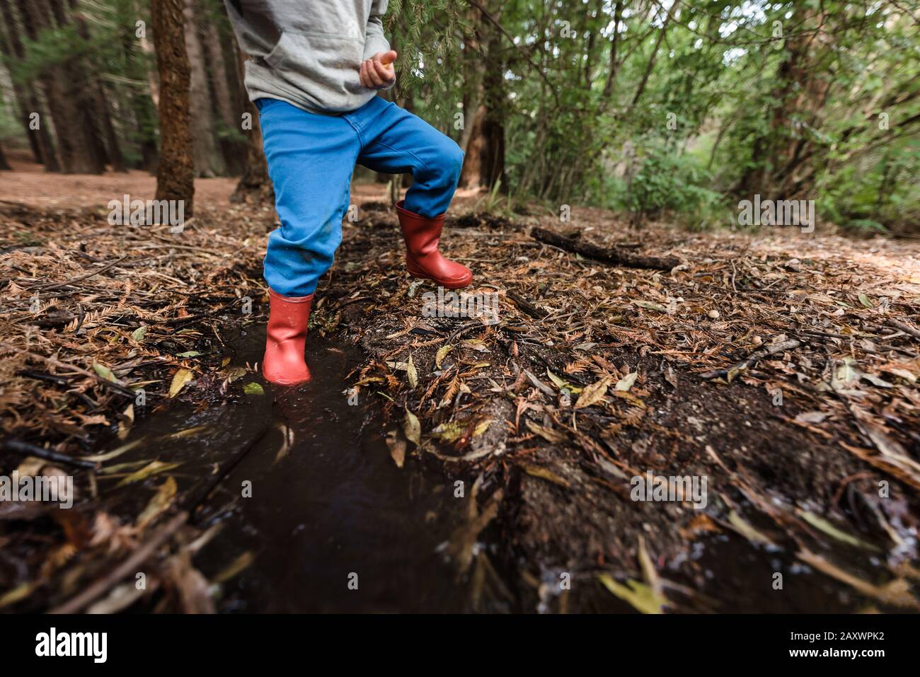 Bambino con scarponi rossi che schiantano nel fango nella foresta Foto Stock