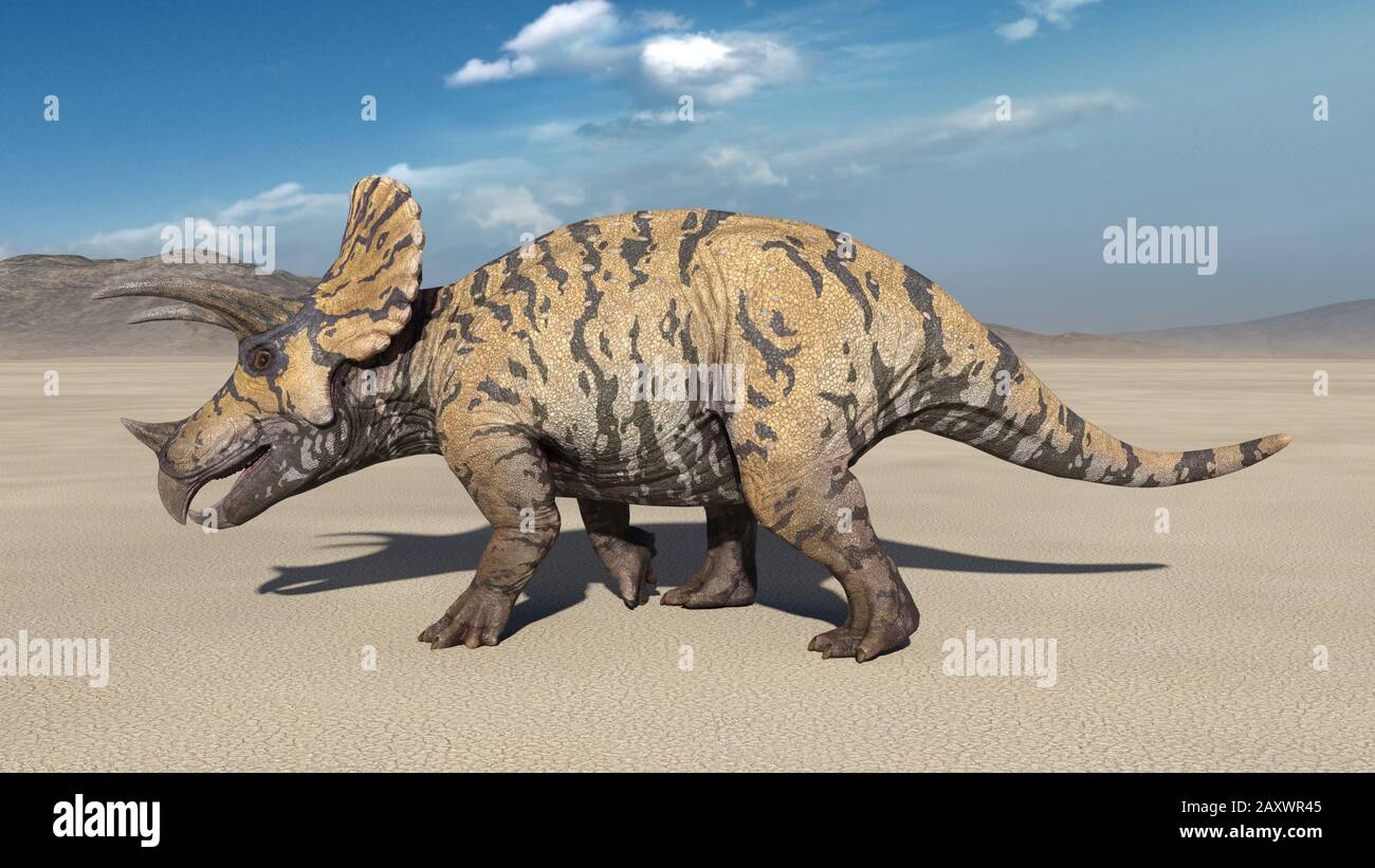 Triceratops, passeggiata a dorso di dinosauro, animale preistorico giurassico in ambiente natura deserto, illustrazione 3D Foto Stock