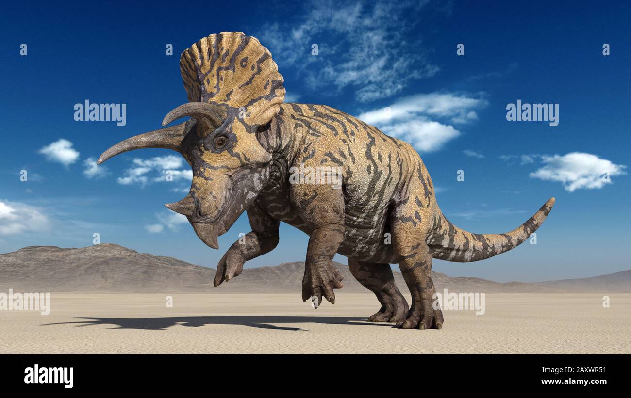 Triceratops, il rapimento di dinosauro, l'animale preistorico giurassico in ambiente di natura deserta, illustrazione 3D Foto Stock