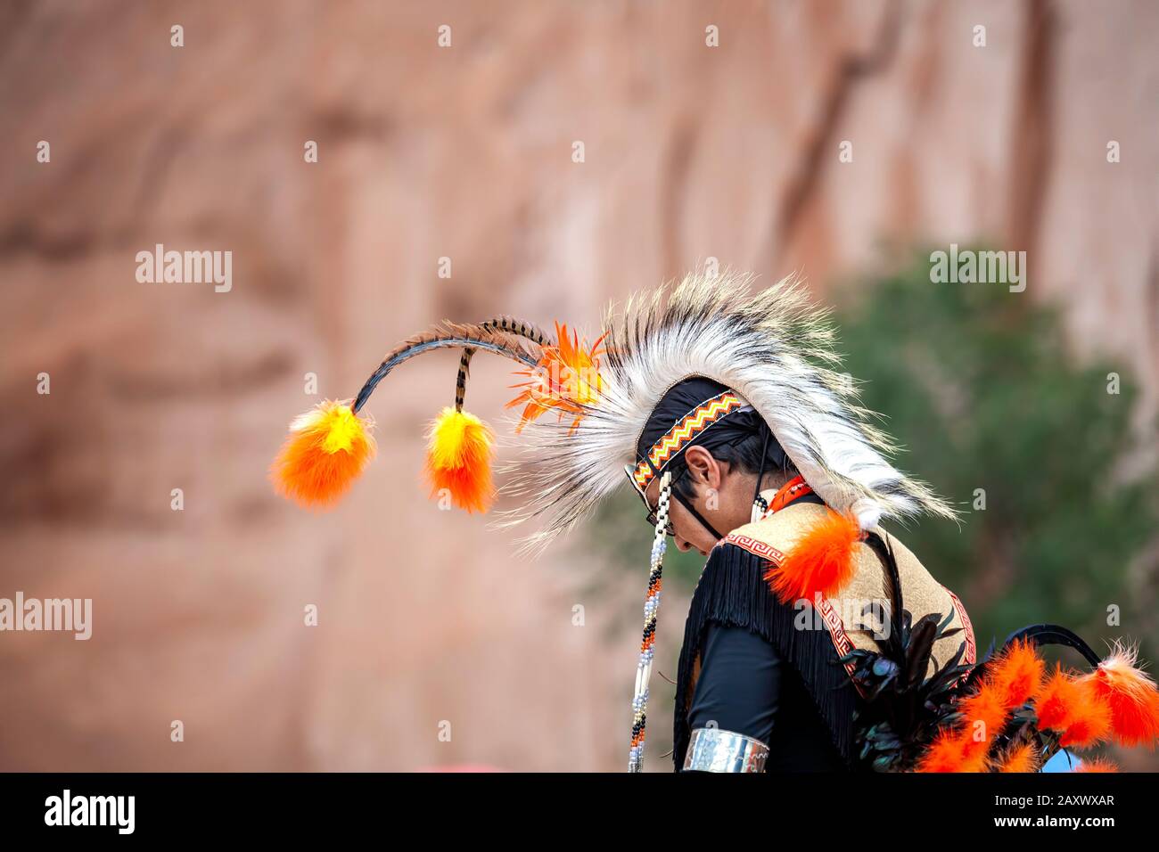 Indiano ballerino maschio, Pow Wow, Gallup Inter-Tribal cerimoniali, Nuovo Messico USA Foto Stock