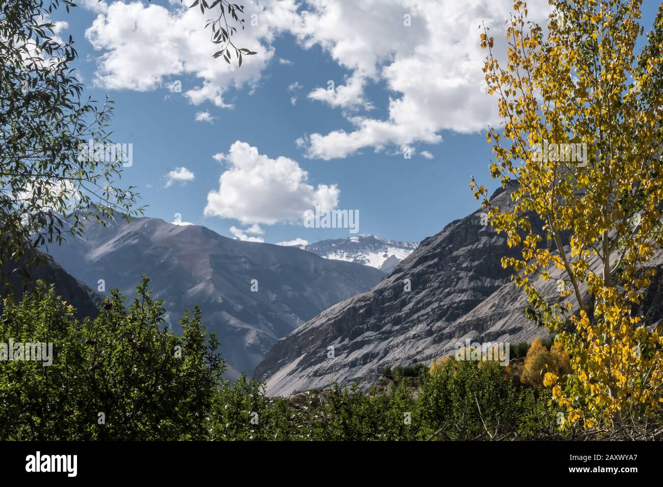 Distante collina delle Highland in estate con nuvole galleggianti che incorniciano lo sfondo su sentieri escursionistici Himalaya. Soft Focus alberi highland autunno Foto Stock
