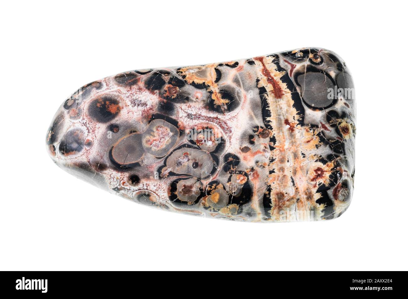 finitura in pietra effetto "jasper" (pietra jaguar) con motivo a sfondo bianco Foto Stock
