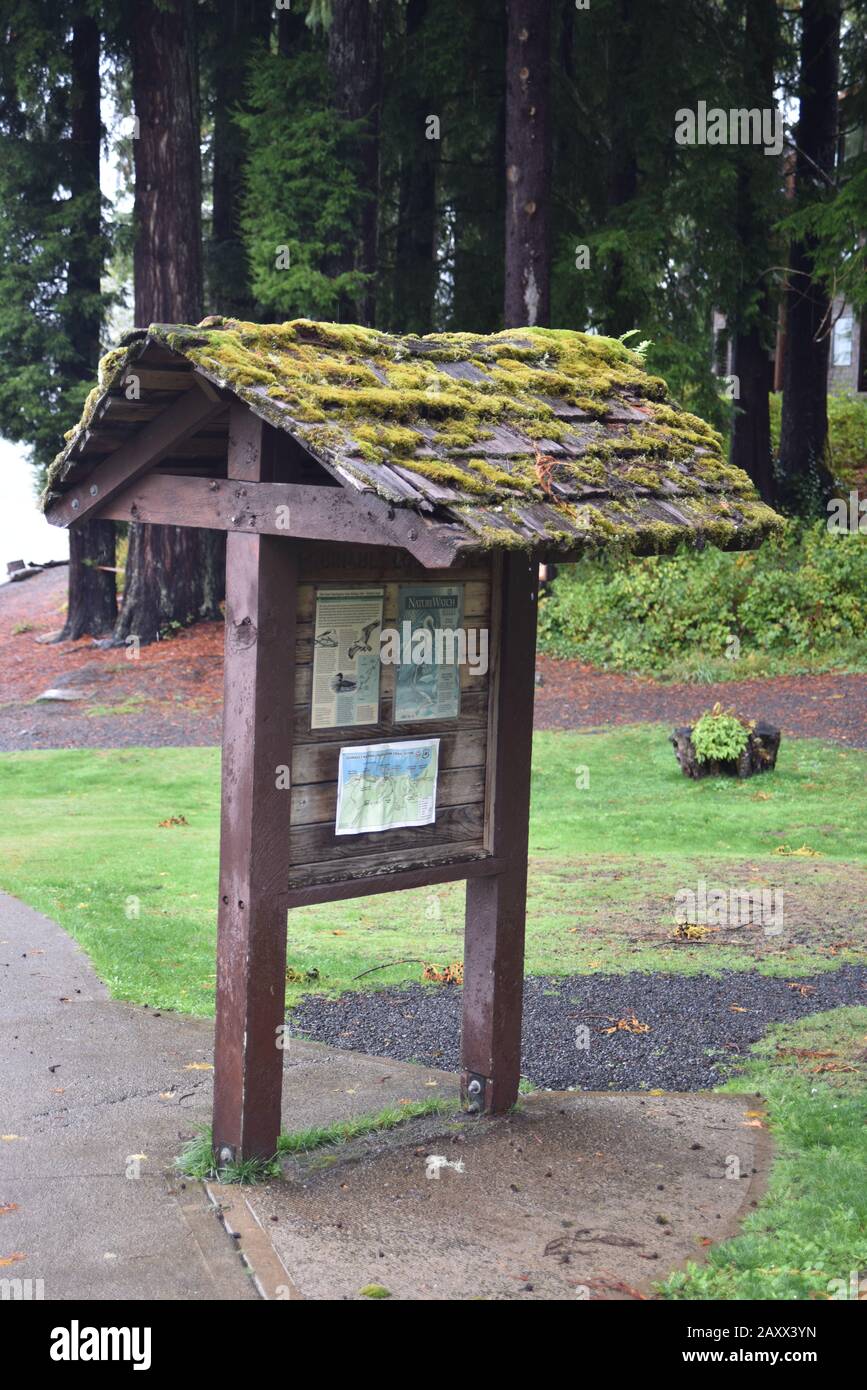 Olympic National Park, Washington, U.S.A. 20 ottobre 2017. Quinault Lodge. Grand e rustico Lodge costruito nel 1926. Ottimo ristorante, ambiente e alloggio. Foto Stock