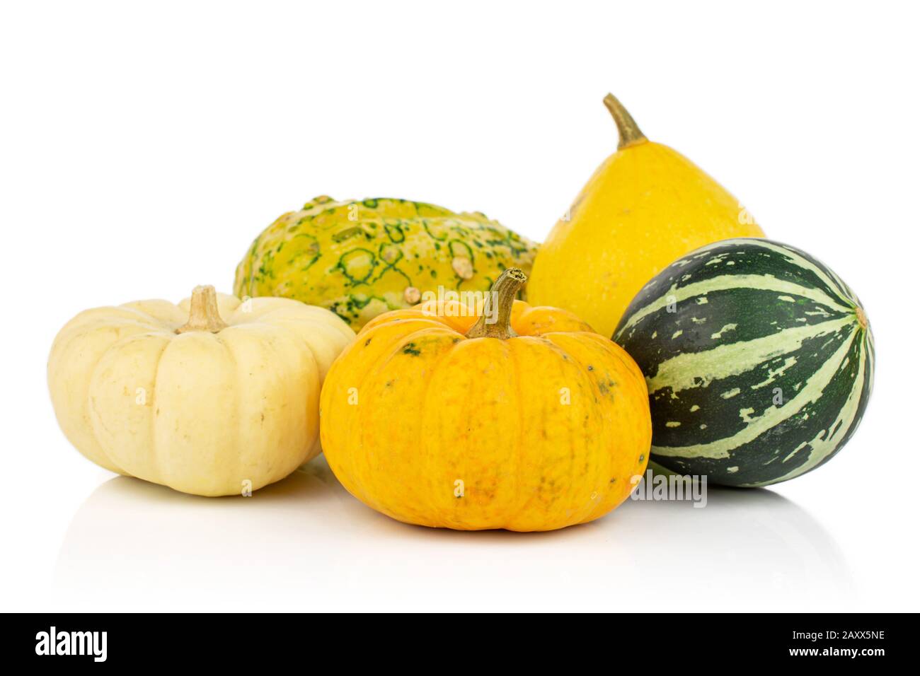 Gruppo di cinque gourd decorativi tutto bello isolato su sfondo bianco Foto Stock