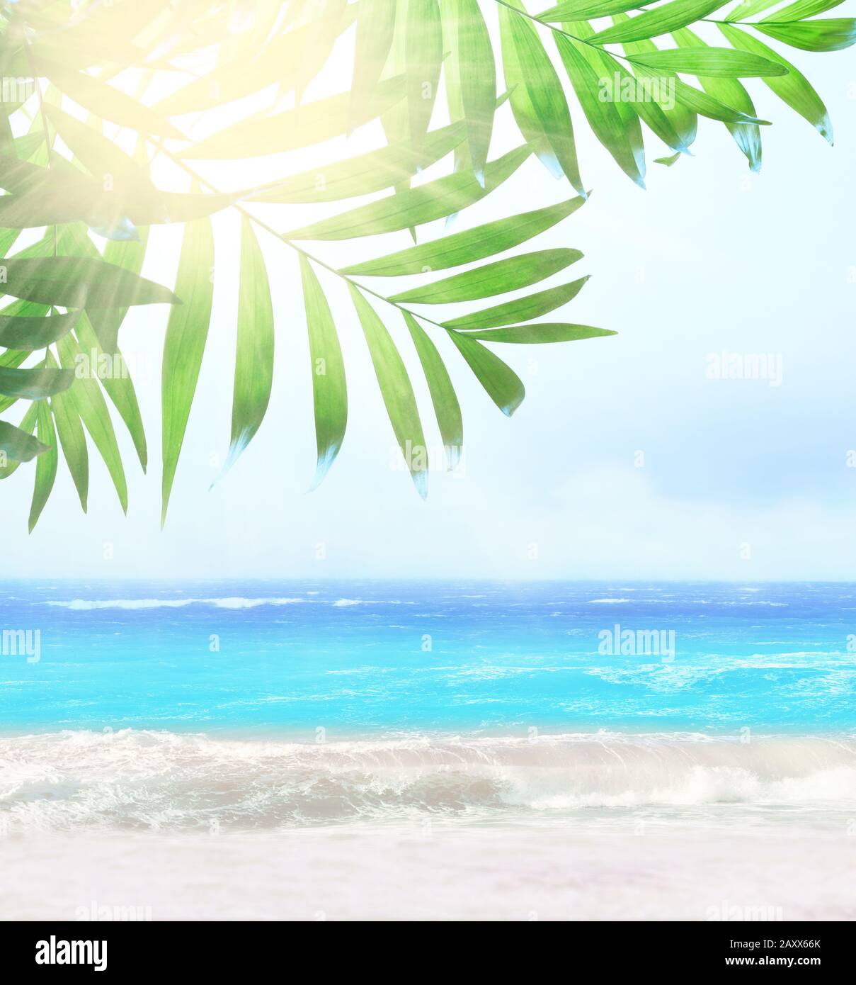 Foglie di palma e spiaggia tropicale. Sfondo estivo. Foto Stock