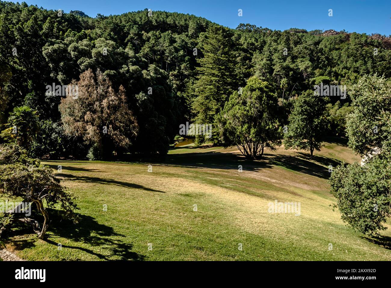 Portogallo, parco in stile inglese vicino a Sintra Foto Stock