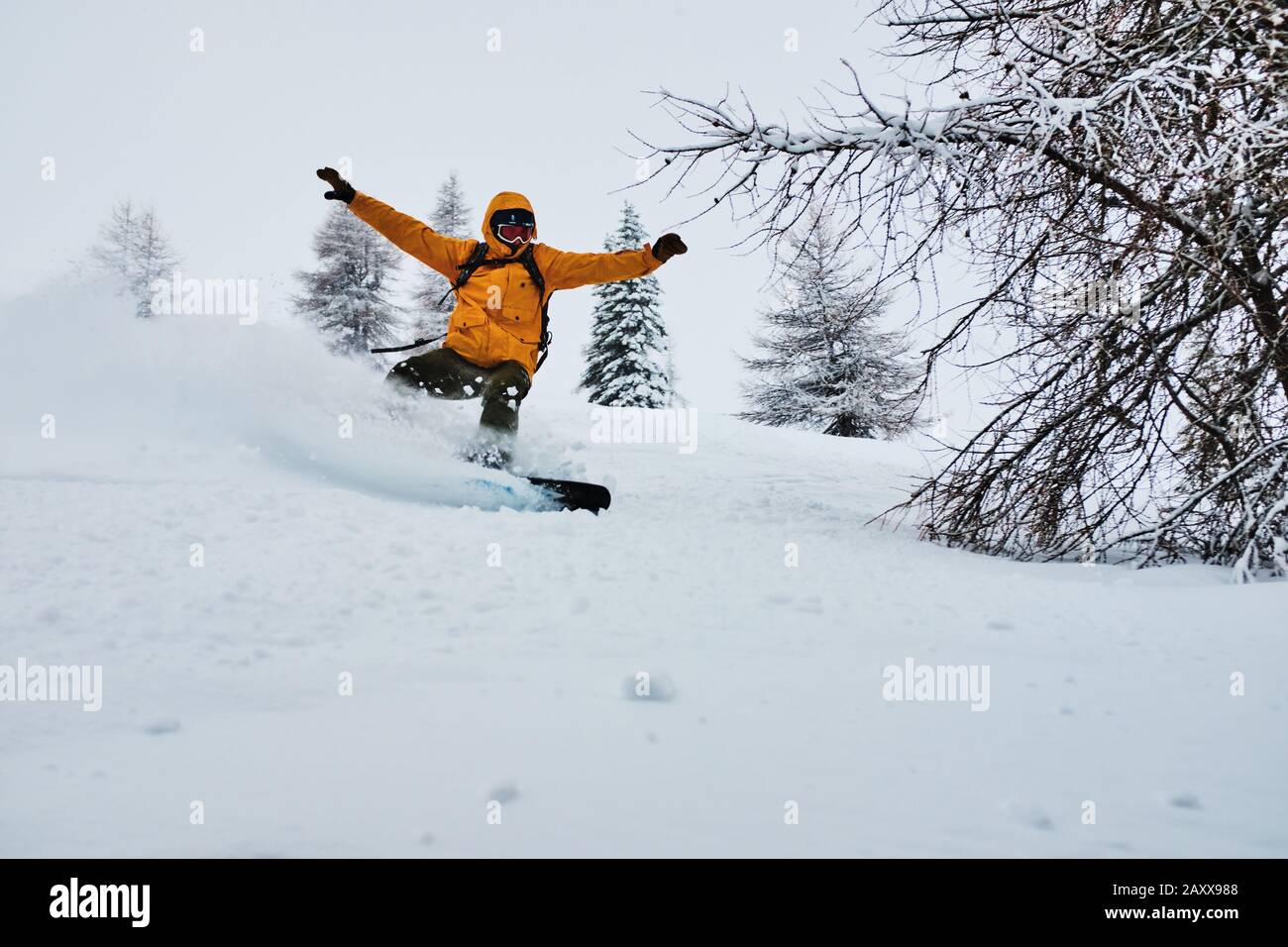 Snowboarder che lo schiacciano su neve in polvere profonda a Gerlitzen, Autilira Foto Stock