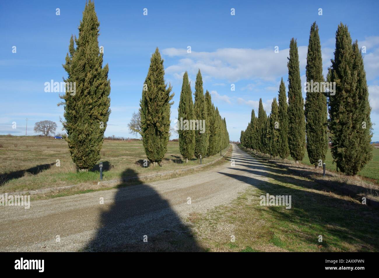 Scenario toscano di una strada di campagna bianca fiancheggiata da cipressi sullo sfondo di un cielo blu con poche nuvole. Italia. Foto Stock