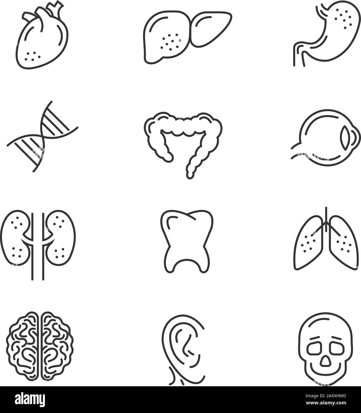 Icone della linea degli organi umani. Organi interni umani segni vettoriali a linee sottili dettagliati Illustrazione Vettoriale