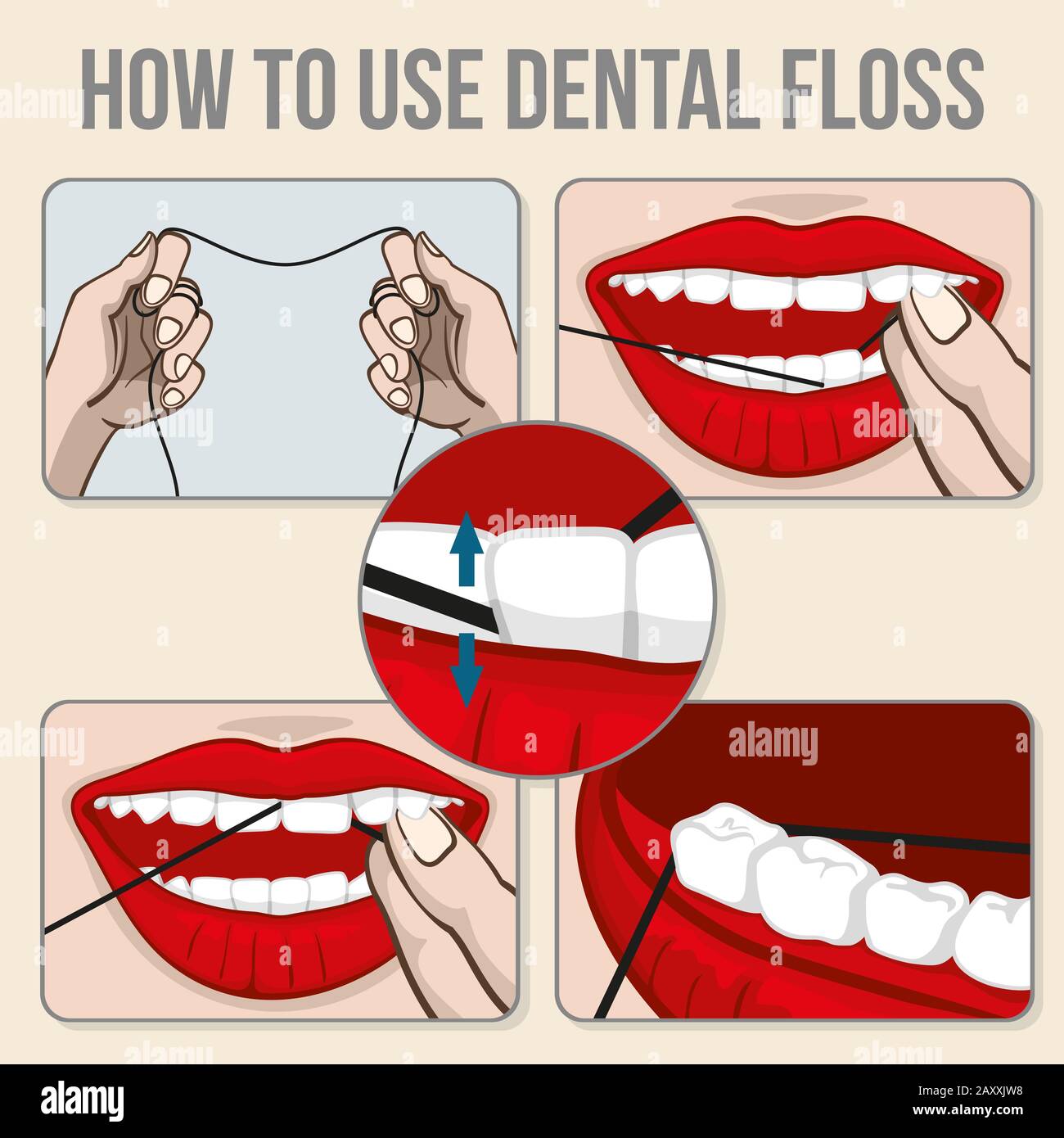 Infografiche vettoriali per denti flottanti. Dente di galleggiamento igienico, galleggiamento dentale medicina e illustrazione del vettore di cura orale Illustrazione Vettoriale