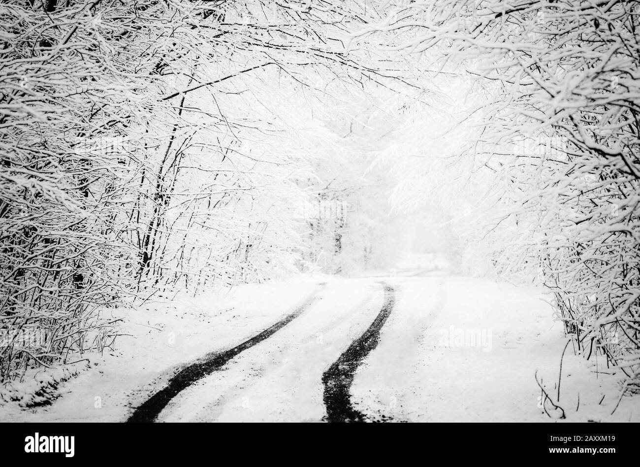 Strada invernale ghiacciata innevata. Pneumatici nella neve. Foresta dopo sleet. Paesaggio forestale invernale monocromatico. Foto Stock