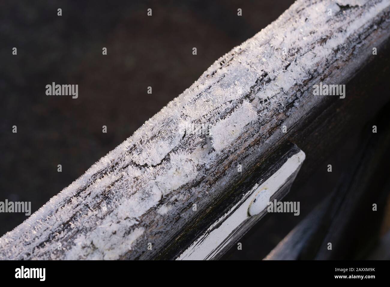 La parte superiore di un cancello di giardino di legno stagionato e smerigliato a metà inverno Regno Unito Foto Stock