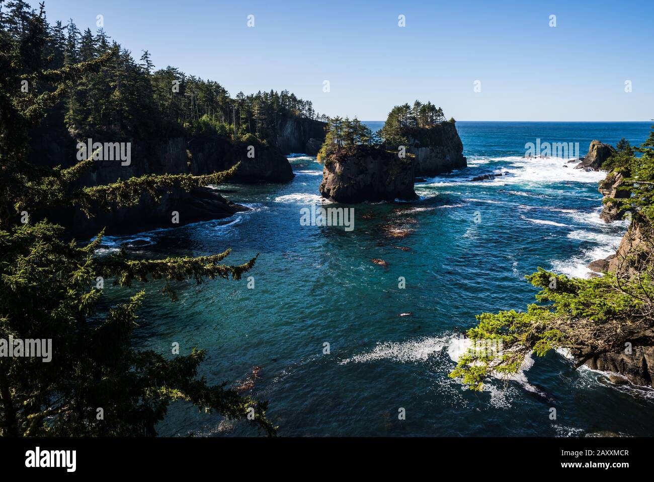 Isole rocciose nell'oceano a Cape Flattery, Pacific Northwest USA Foto Stock