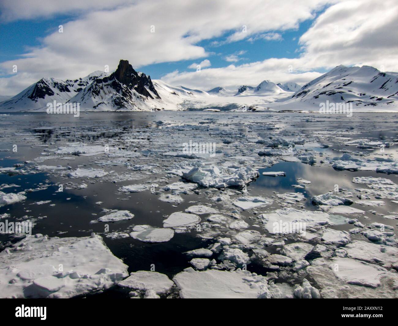 Ghiaccio marino nello splendido scenario di Svalbard, Norvegia Foto Stock