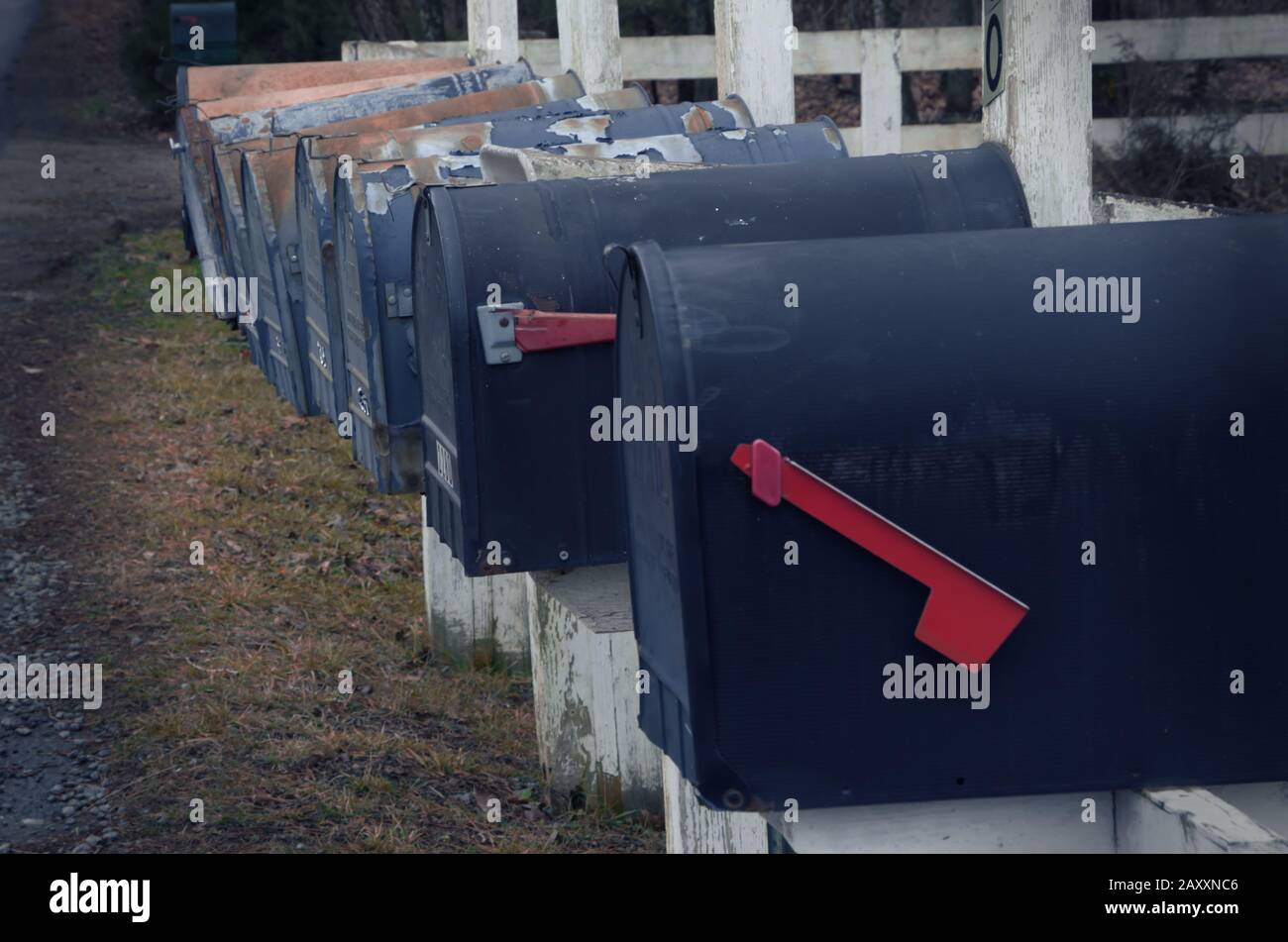 Caselle postali rurali tutte in fila in attesa pazientemente delle consegne odierne. Foto Stock