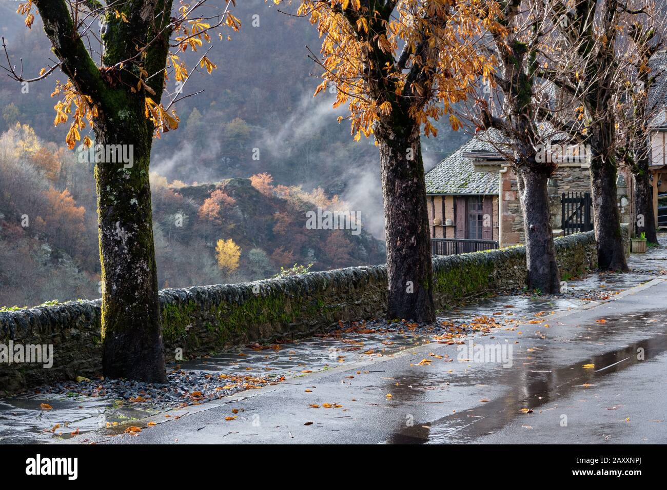 Pioggia e nebbia sul sentiero alberato lungo la strada del villaggio, sullo sfondo vestito foresta d'autunno, Conques, Francia Foto Stock
