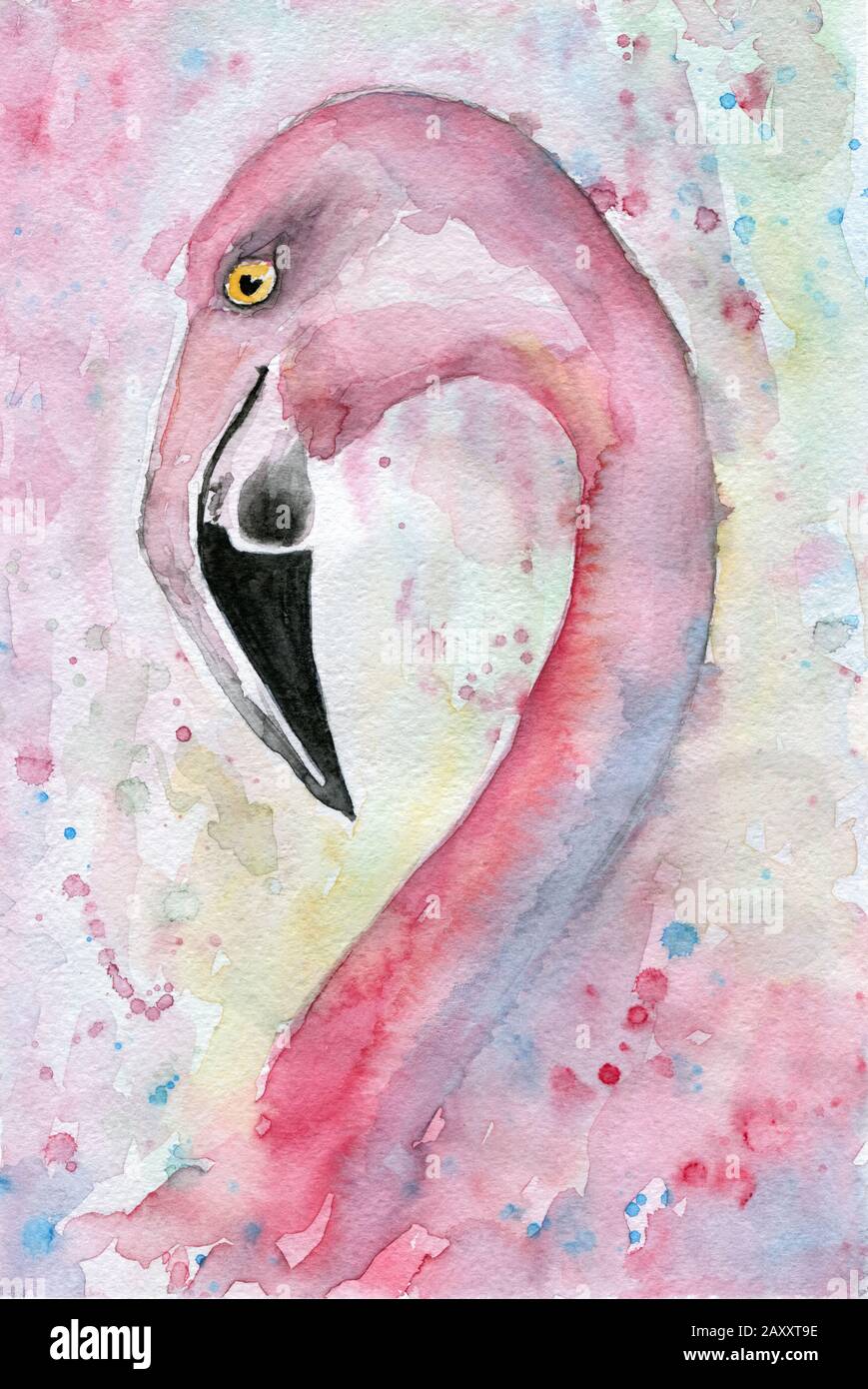 Illustrazione dei fenicottero rosa acquerello. Dipinto a mano Foto Stock