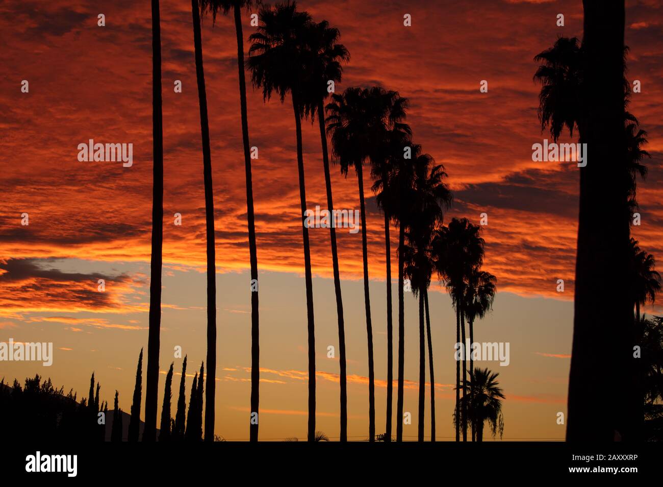 Morbide nuvole arancioni Foto Stock