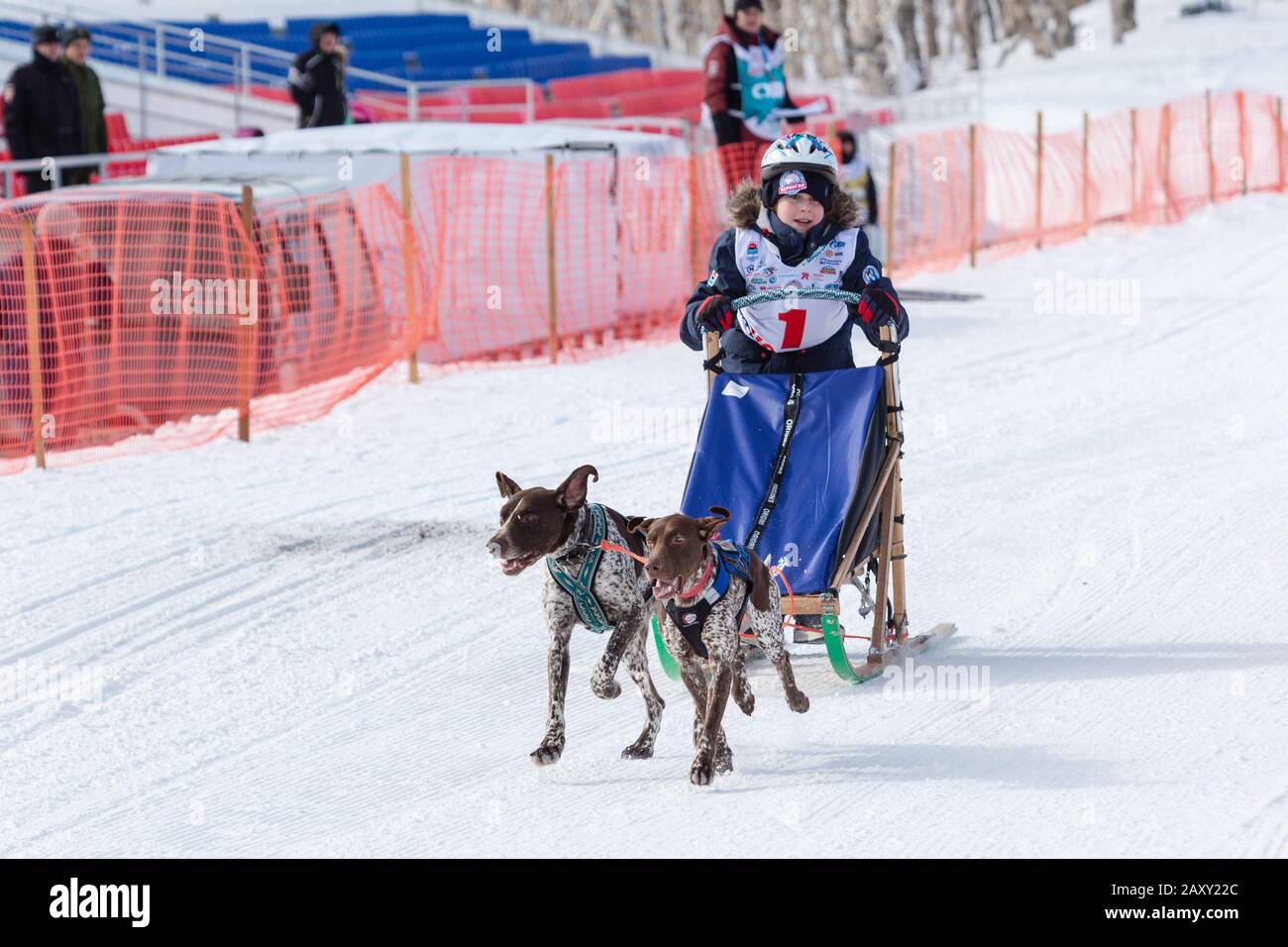 Maschio bambino mushing slitta cane squadra, in corsa su neve distanza di corsa durante Kamchatka Kids Concorsi slitta cane Race Dyulin (Beringia). Petropavlovsk Foto Stock