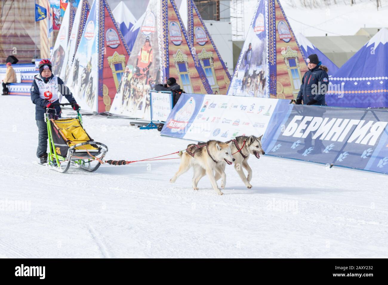 Maschio bambino mushing slitta cane squadra, in corsa su neve distanza di corsa durante Kamchatka Kids Concorsi slitta cane Race Dyulin (Beringia). Petropavlovsk Foto Stock