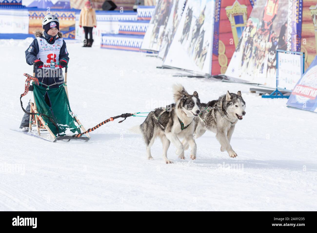 Maschio bambino mushing slitta cane squadra, in corsa su neve distanza di corsa durante Kamchatka Kids Concorsi slitta cane Dyulin Racing (Beringia). Petropavlovsk Foto Stock