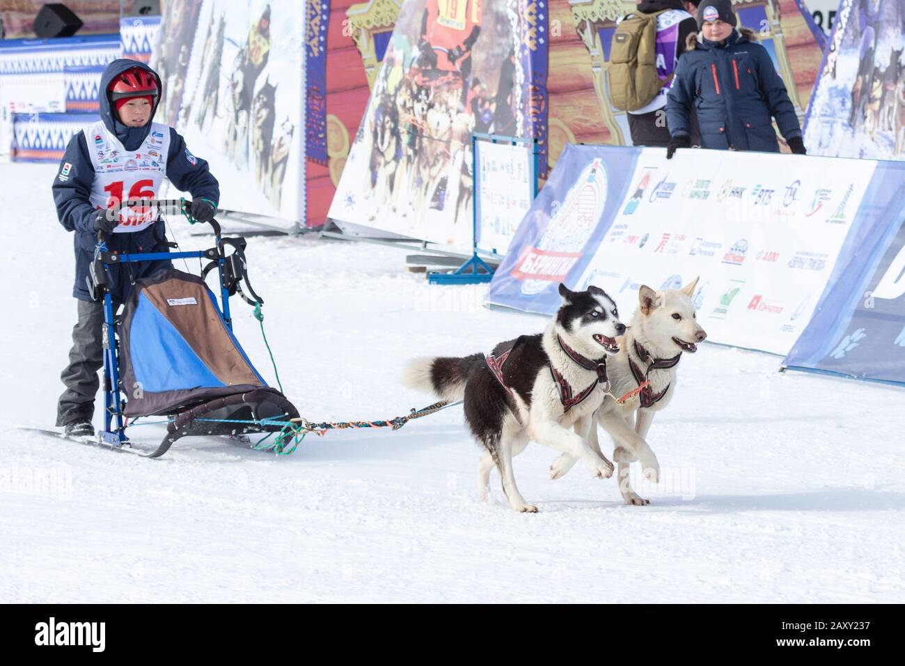 Maschio bambino mushing slitta cane squadra, in corsa su neve distanza di corsa durante Kamchatka Kids Concorsi slitta cane Race Dyulin (Beringia). Petropavlovsk Foto Stock