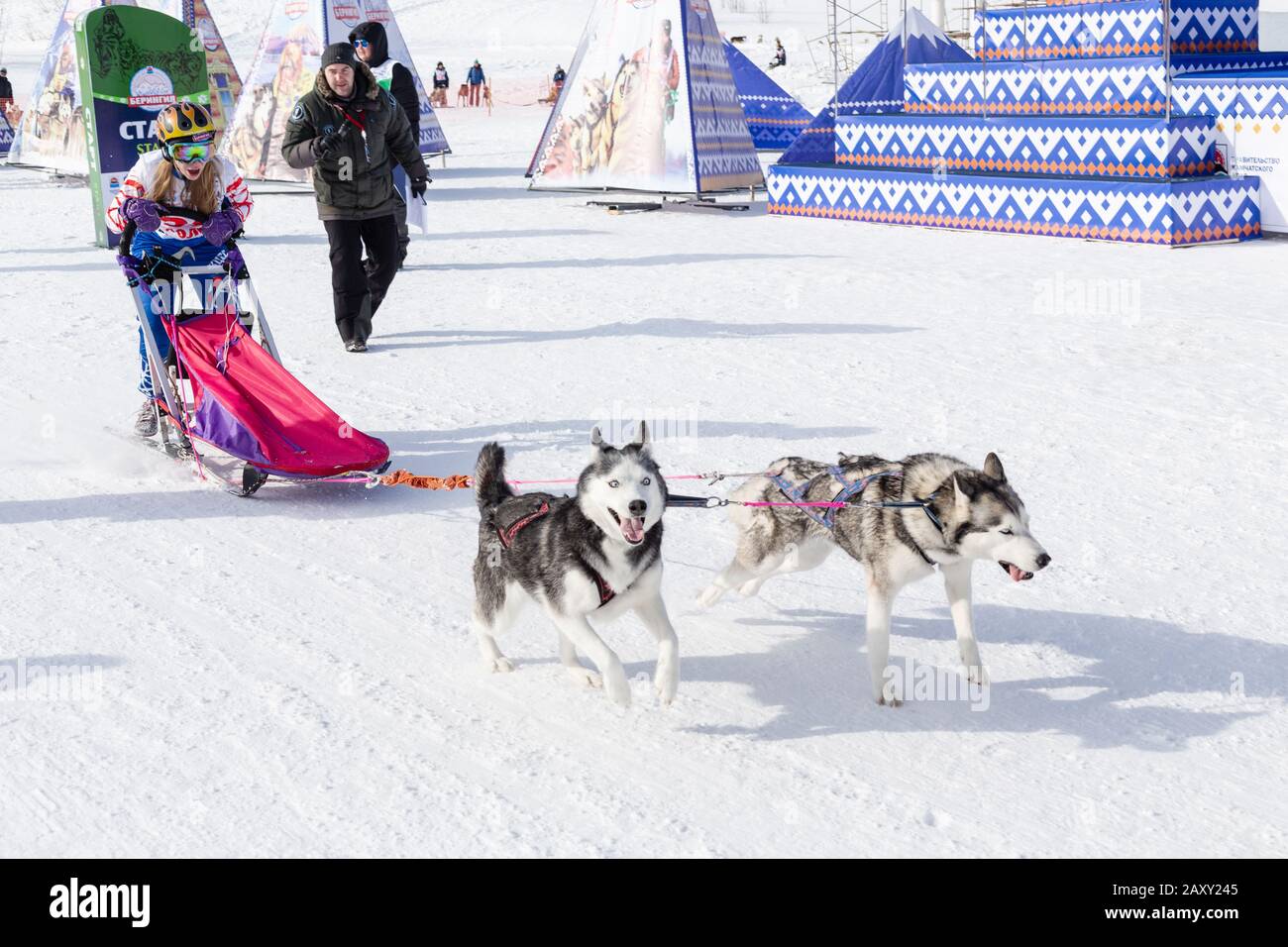Femmina bambino mushing slitta cane squadra, in corsa su neve distanza di corsa durante Kamchatka Kids Concorsi slitta cane Race Dyulin (Beringia). Petropavlovsk Foto Stock