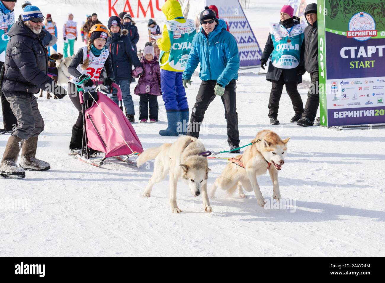 Femmina bambino mushing slitta cane squadra, in corsa su neve distanza di corsa durante Kamchatka Kids Concorsi slitta cane Dyulin Racing (Beringia). Petropavlovsk Foto Stock