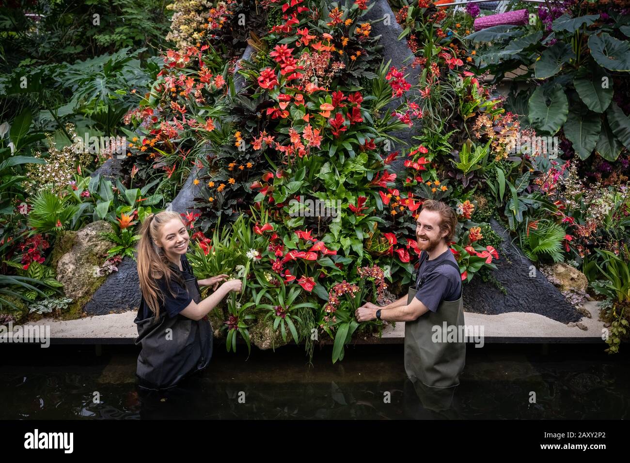 Kew Orchid Festival 2020: Indonesia. Festival annuale delle orchidee a tema nel paese dell'Indonesia vede oltre 5.000 orchidee colorate e piante tropicali. Foto Stock