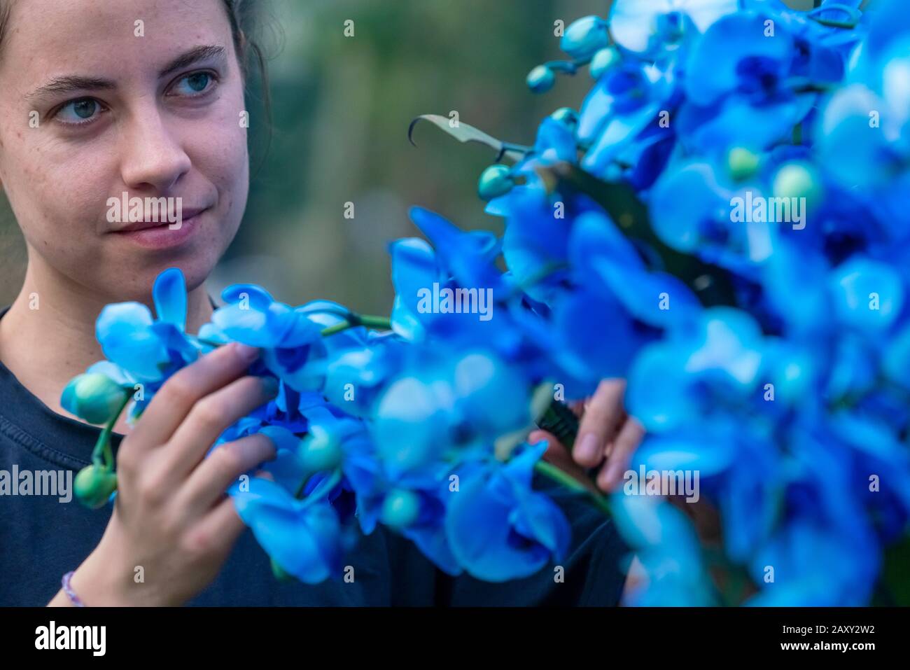 Kew Orchid Festival 2020: Indonesia. Festival annuale delle orchidee a tema nel paese dell'Indonesia vede oltre 5.000 orchidee colorate e piante tropicali. Foto Stock