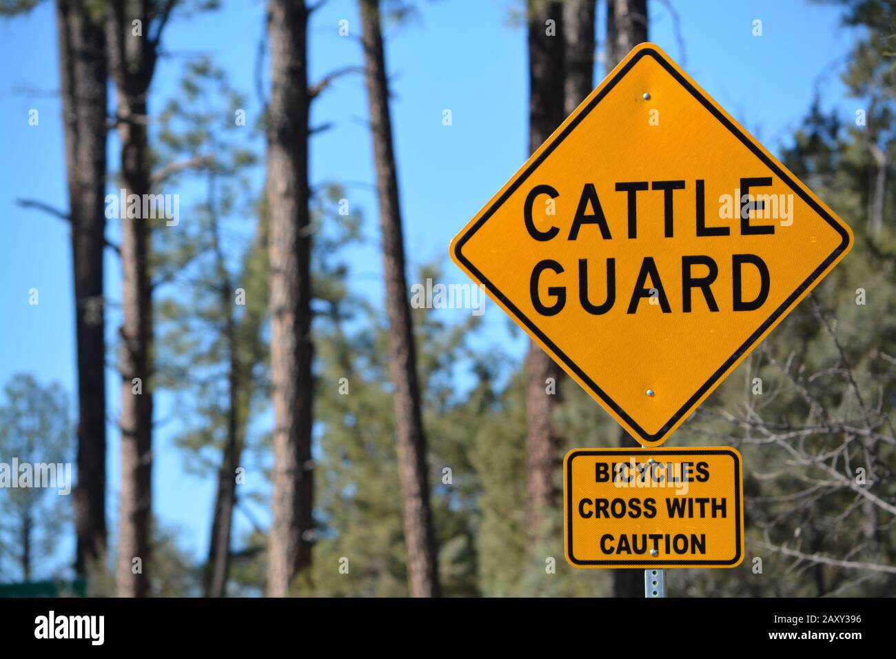 Cartello segnaletico della Guardia del bestiame e Biciclette Croce con cartello segnaletico. Gila County, Tonto National Forest, Arizona Stati Uniti Foto Stock