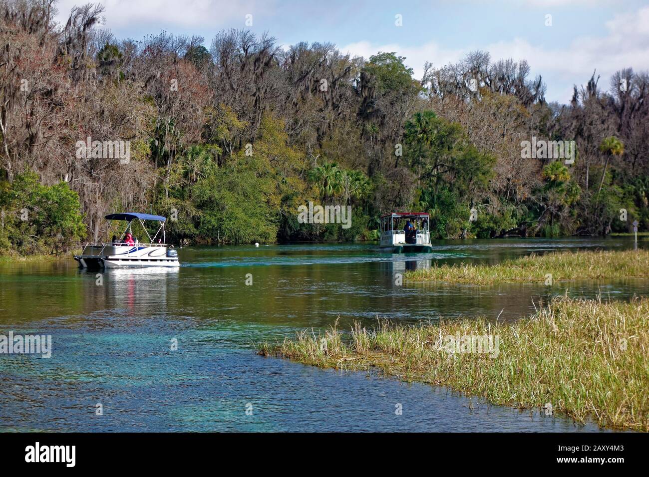 Paesaggio fluviale, canne, barche, alberi con muschio spagnolo o (Tillandsia usneoides), Rainbow River, Rainbow Springs state Park, Dunnelon, Florida, Stati Uniti Foto Stock