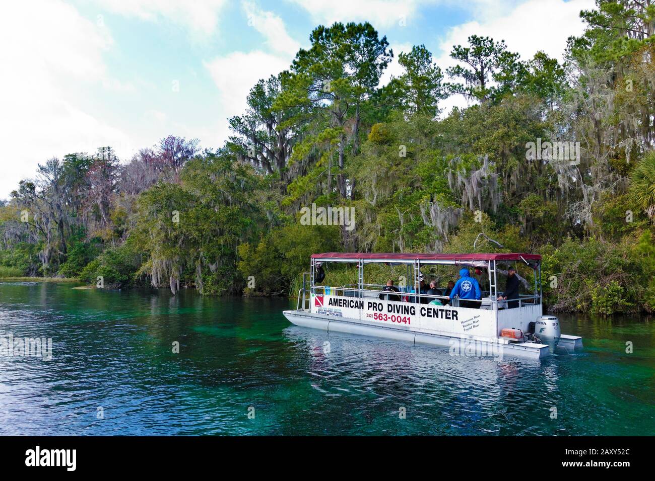 Paesaggio fluviale, barca subacquea, alberi con muschio spagnolo o (Tillandsia usneoides), fiume Rainbow, Rainbow Springs state Park, Dunnelon, Florida, Stati Uniti Foto Stock