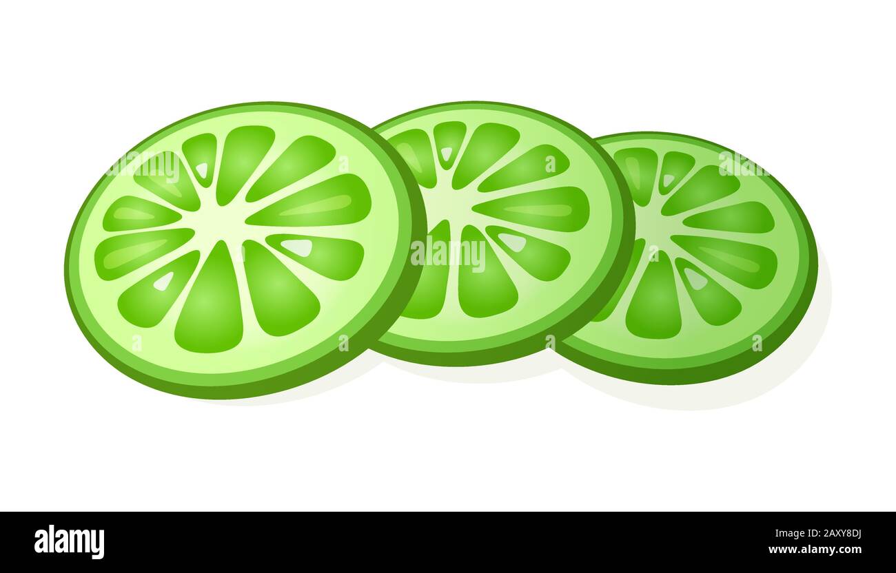 Fette di lime fresco tagliate a fette isolate su sfondo bianco. Lime succosa mature. Illustrazione del vettore. Illustrazione Vettoriale