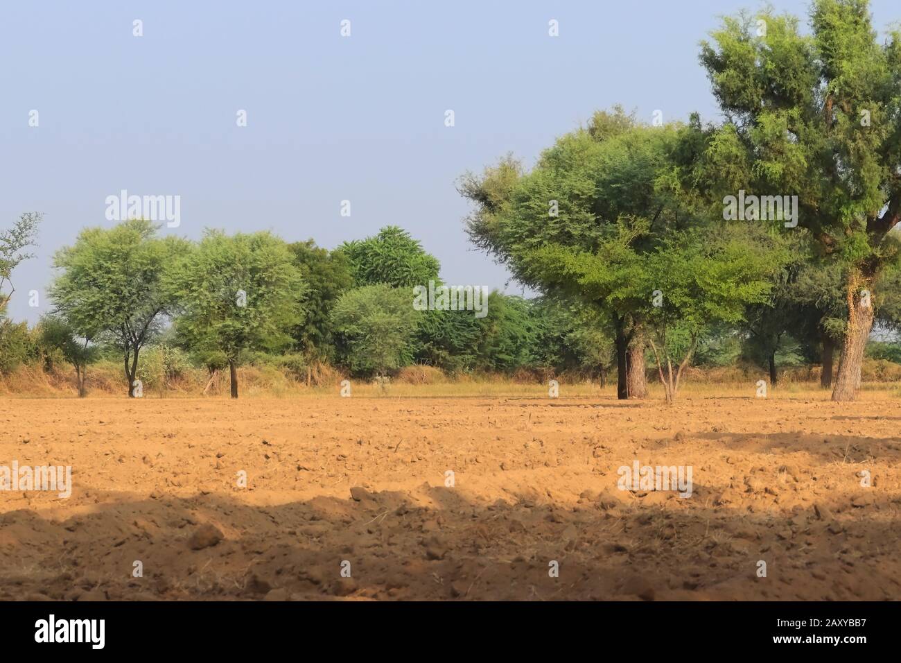 primo piano di campi agricoli bruni vuoti con prato e ombra , fattoria e immagini di campo Foto Stock