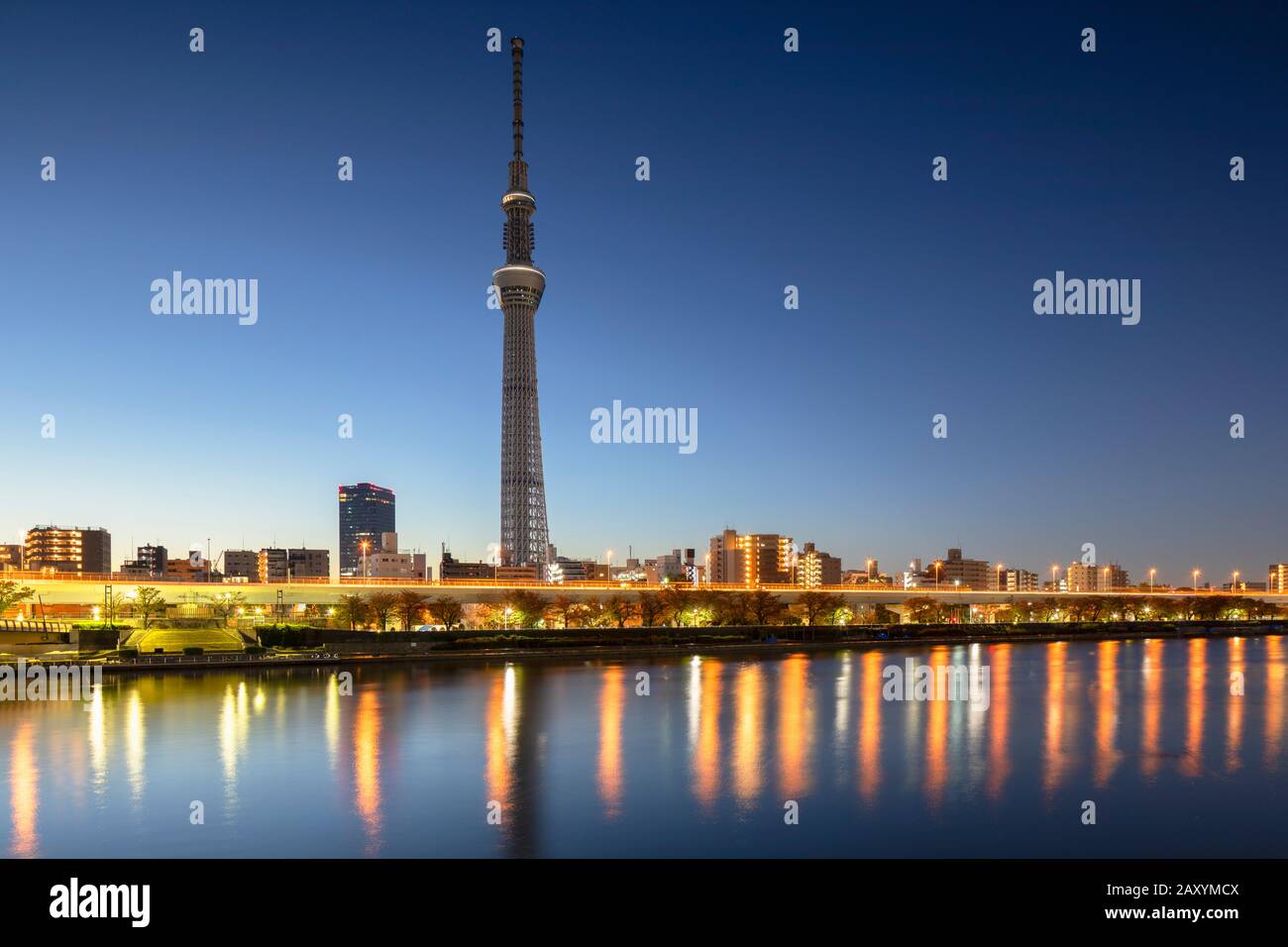 Sky Tree e Sumida River all'alba, Tokyo, Giappone Foto Stock