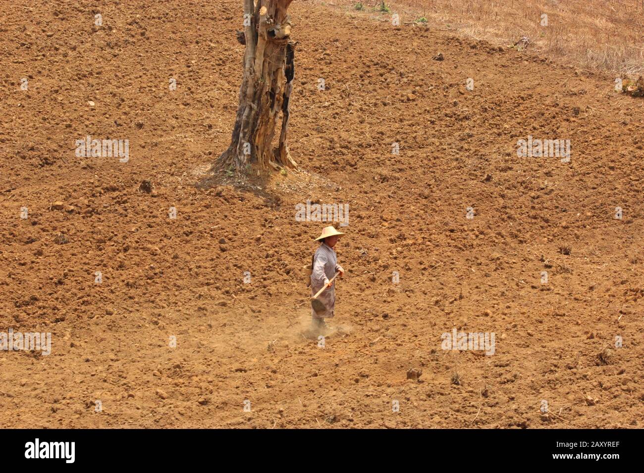 Un contadino birmano lavora durante la stagione estiva Foto Stock