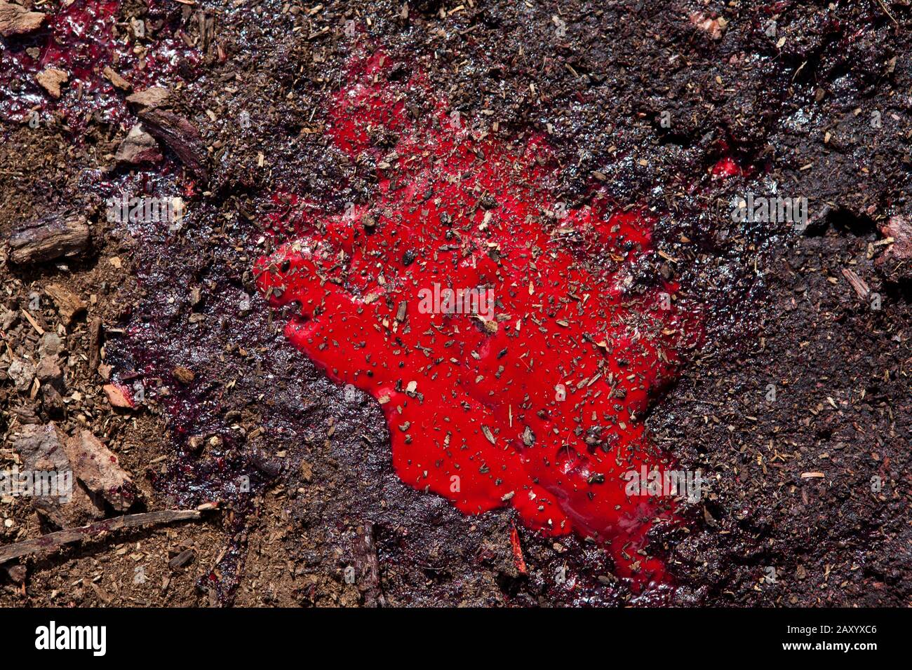 sangue sulla terra Foto stock - Alamy