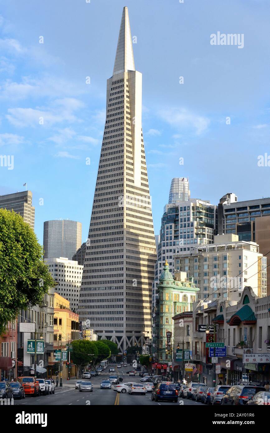 Vista su Columbus Avenue fino all'alto edificio della Transamerica Pyramid, San Francisco, California, Stati Uniti Foto Stock