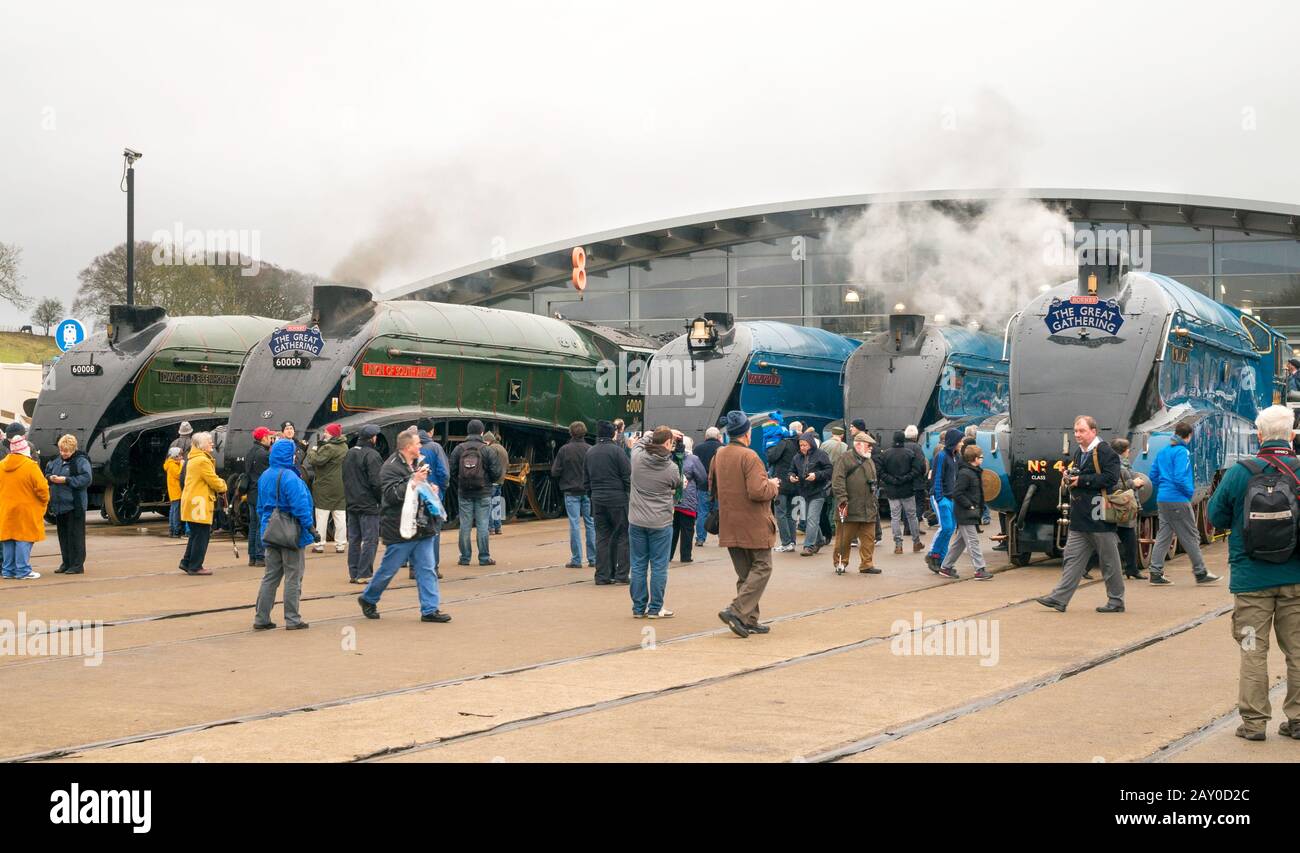 La grande Raccolta di bollini a vapore A4 pacific all'interno del museo ferroviario Locomotion di Shildon, Co. Durham, Inghilterra, UK, febbraio 2014 Foto Stock